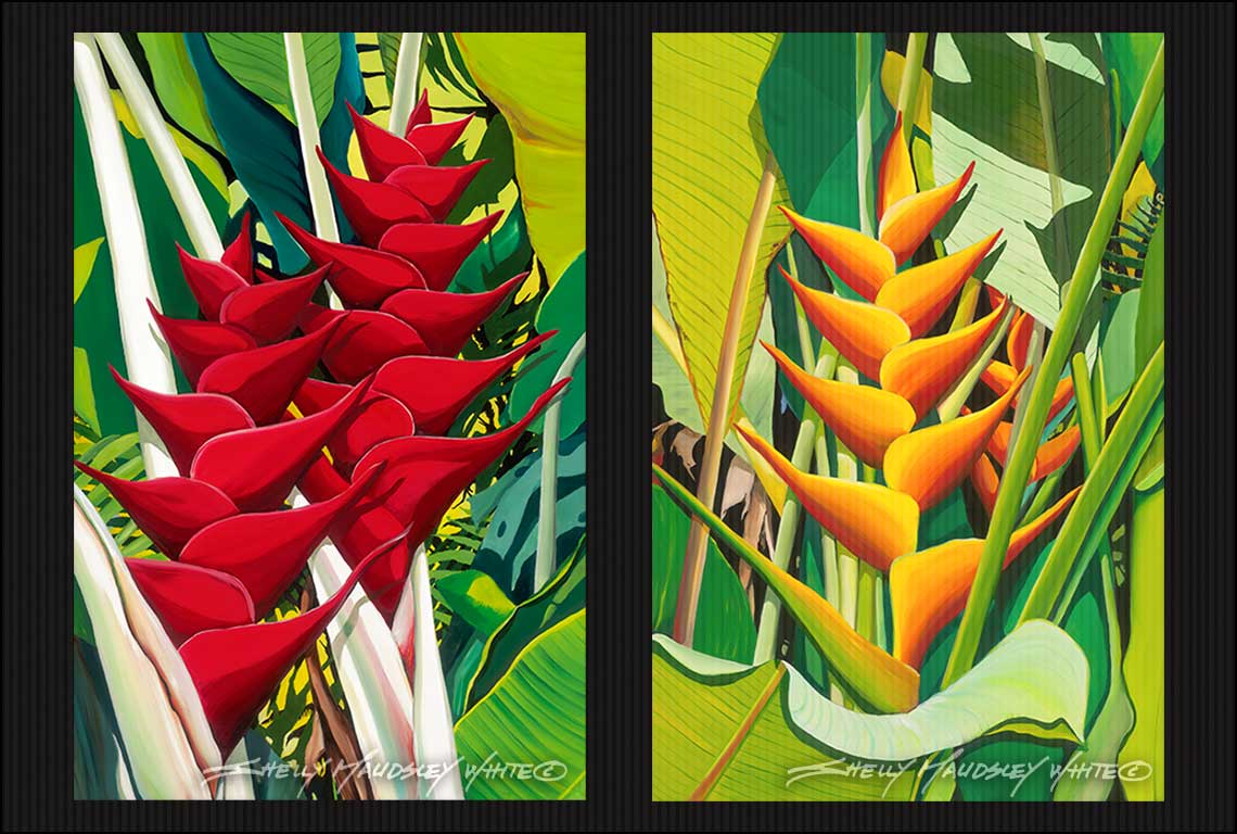 Two vivid ginger flowers in a garden on the Big Island